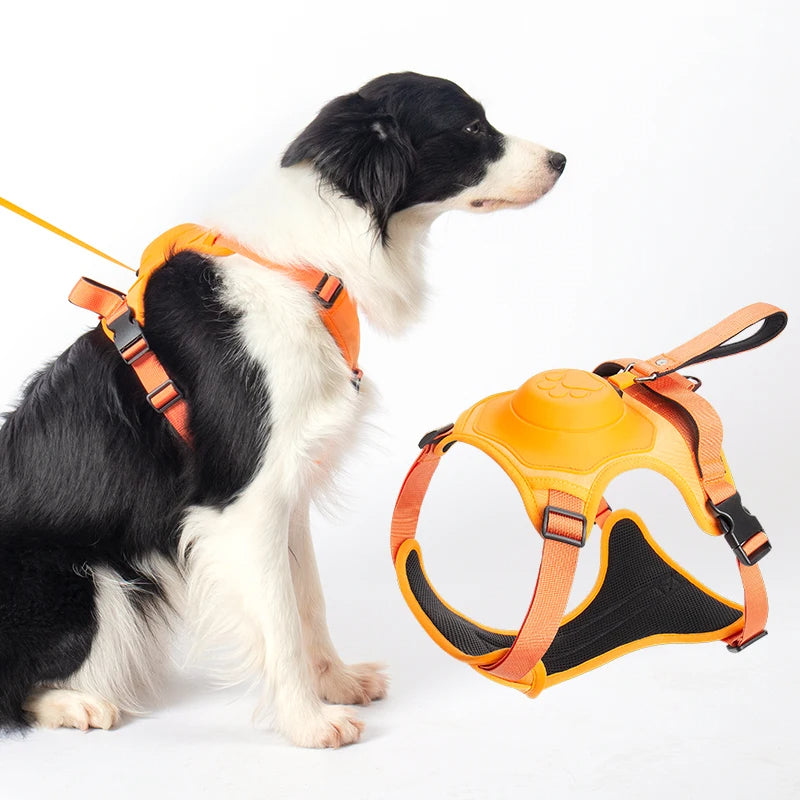 Dog Retractable Harness