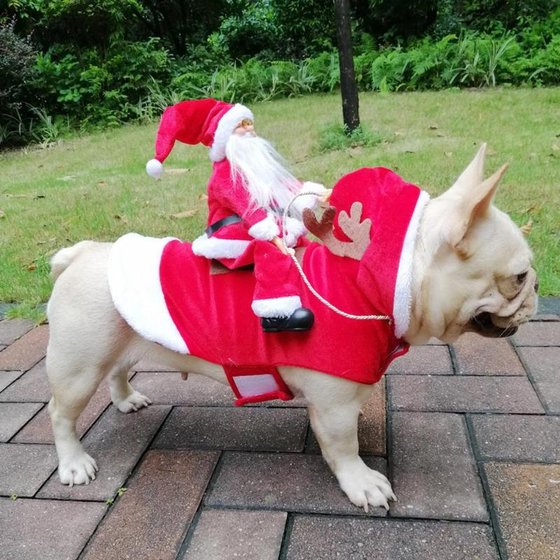 Fun Santa Riding Dog Costume